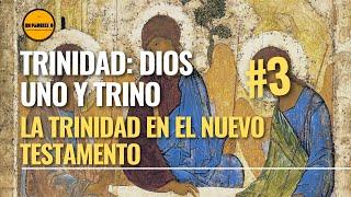 Santísima Trinidad. Dios Uno y Trino 3. La Trinidad en el Nuevo Testamento. Teología para Laicos