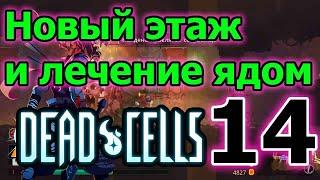 Древние сточные канавы и первое парирование // Мертвые клетки // Dead Cells Прохождение ► 14 серия