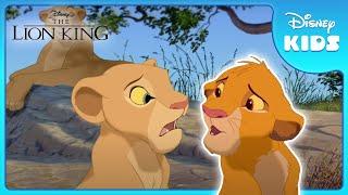 Simba's Epic Journey  | The Lion King | Disney Kids