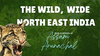 Explore Wild North East India - It is Amazing! (Assam & Arunachal Pradesh)