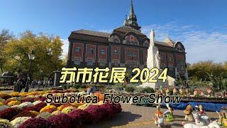 塞尔维亚北部小镇2024花展