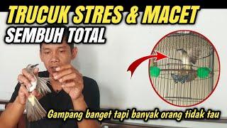 TRIK PALING JITU ATASI TRUCUKAN MACET,BENGONG & STRES ‼️