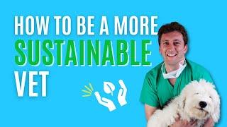 How YOU Can Be More Sustainable In The Veterinary Profession