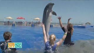 Learning all about the wildlife in Florida at Marineland