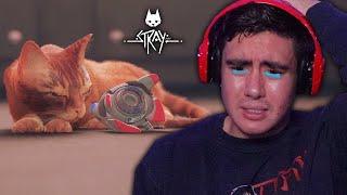 THE ENDING OF STRAY MADE ME FEEL SOME TYPE OF WAY | Stray (Ending)