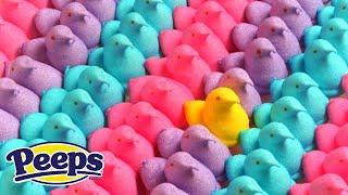 How Marshmallow Peeps Are Made Inside The Factory