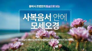 통으로 보는 사복음서 안에 모세오경 | 창세기, 출애굽기, 레위기, 민수기, 신명기