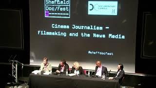 What is videojournalism?