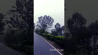 ஒரே பனிமூட்டமா இருக்கு #ooty #valparai #kodaikanal #moonar #nilgiris #kerala #kotagiri #coonoor #dmk