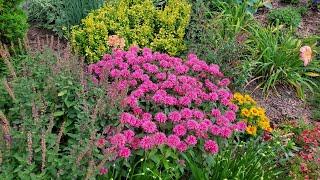 July Garden Tour, MN Zone 4, Pollinator Plants, Annuals, Perennials, Shade and Sun Garden