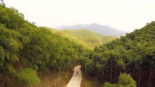 EXPLORING MOGANSHAN BAMBOO FOREST