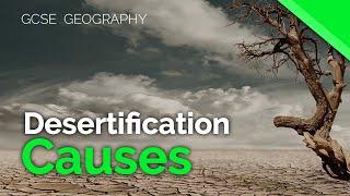 Causes of Desertification | AQA GCSE 9-1 Geography