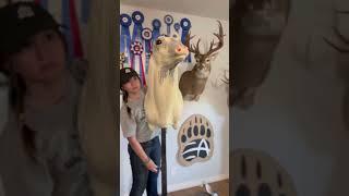 Whitetail taxidermy process  #taxidermy #deermount #deer #whitetail #animals #art