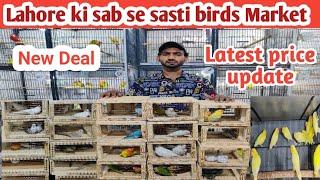 Pakistan KY sab sa sasti birds Market ll 03096188063 Muddasir Birds 