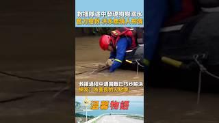 救援隊途中發現一隻溺水狗狗，並奮力搶救，不放過任何一條生命！網友：為善良的人點讚！