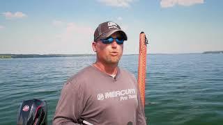 Explaining the Fall Spawn of Lake Trout on Big Green Lake