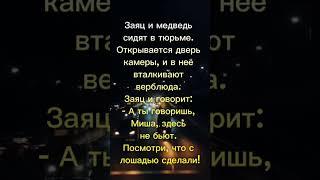 Звериная тюрьма) #анекдот #юмор #прикол #смех #позитив #шутки #ржака #шортс #смешноевидео