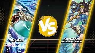 Yu-Gi-Oh! Locals 19-11 | Round 3 | Sharks vs. Mermail Atlantean