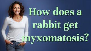 How does a rabbit get myxomatosis?