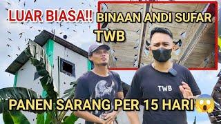 LUAR BIASA‼️BINAAN ANDI SUFAR TWB. PANEN SARANG PER-15 HARI