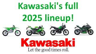 Exploring the details of Kawasaki's lineup for 2025