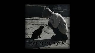 itsMD - cat in the park