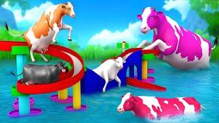 5 Color Cows on Giant Slide: Magical Ride & Funny Animals Adventures!