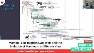 Mammal Like Reptiles Synapsids and the Evolution of Mammals, a Different View | Dr. Matthew McLain