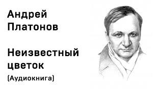 Андрей Платонов Неизвестный цветок Аудиокнига Слушать Онлайн