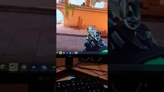 valorant GeForce anti flash hack