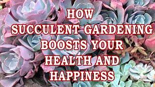 Unlocking Wellness: How Succulent Gardening Boosts Your Health and Happiness