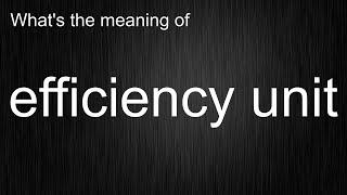 What's the meaning of "efficiency unit", How to pronounce efficiency unit?