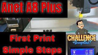 Simple Steps to your First Print on the Anet A8 Plus