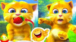 Talking Ginger Funny Videos  | talking tom | talking ginger | tom cat |