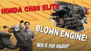 This Honda Elite 80 (CH80) has a blown engine engine - Can we save it?