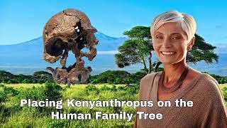 Kenyanthropus platyops: Move over Lucy. Australopithecus no longer at base of Genus Homo?