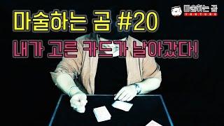 [제주도 마술하는곰] 고무줄로 묶인 카드 덱에서 내가 고른 카드가 튀어나온다?! 너무나 놀라운 고무줄 마술!!