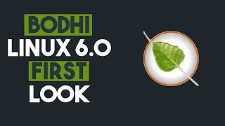 Bodhi Linux 6.0 First Look