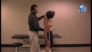 Lumbar and SIJ Examination