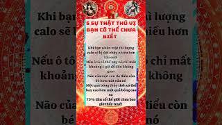 Cổ Nhân Nói Phong Thủy Chiêu Tài Hút Lộc Cải Vận Mở Cung Tài Bạch Đón May Mắn| Kts Phong Thủy Lưu Hà