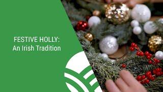 Festive Holly, an Irish Tradition