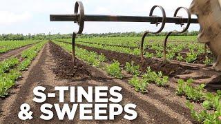 What Are S-Tines & Sweeps? - 1 Minute Overview