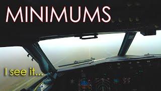 Pilot Saw the Runway near to Minimums | Boeing 737 Manual Landing | Pilot Head Camera