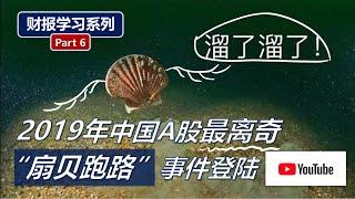 财报学习6: 什么是资产减值?（资产负债表结构讲解/Balance Sheet Outline 1/3）