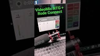 VideoMic NTG + Rode Connect = Big Bottom 