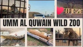 A day in Umm Al Quwain wild zoo UAE #aztraveldiary #travel #ummalquwainzoo #zoo #uae