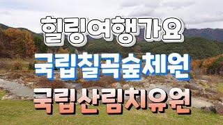 어르신들이 가기에 좋은 곳, 힐링여행지모음 Korea travel #대구약령시장 #대구가볼만한곳 #국립칠곡숲체원 #국립산림치유원 #영주가볼만한곳 #칠곡가볼만한곳 #힐링여행