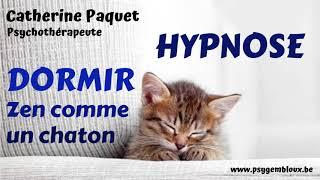 Hypnose du sommeil : dormir zen comme un chaton