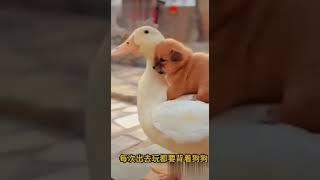 動物世界010