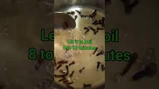 Magical Home Remedy For Double Hair Growth | Hair Toner | fab life coach #shorts